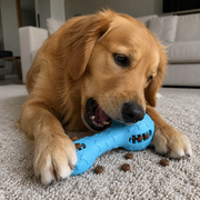 Jouet Tanno Haltère Bleu Pour Chien