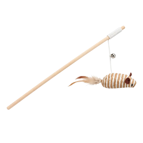 Canne en bois avec plume