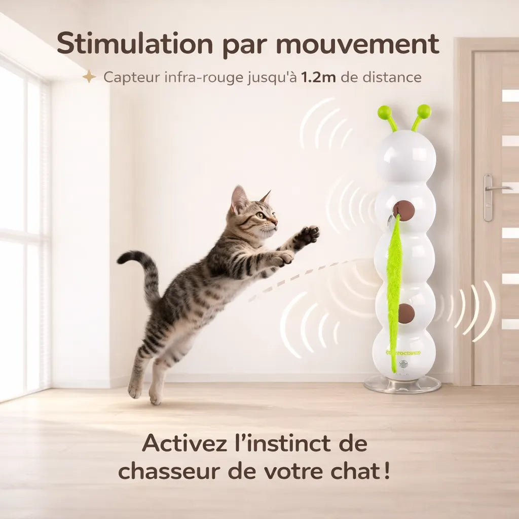 Trou de Chasse Automatique
