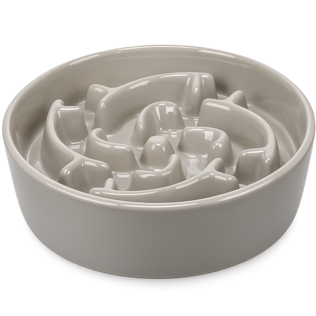 Gamelle Pour Chien Anti-Glouton