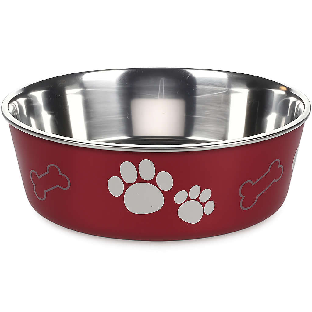 Gamelle Pour Chien Avec Patte