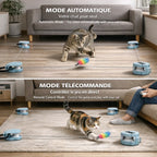 Jouet de Chasse Automatique pour Chat