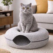Tunnel beignet pour chat