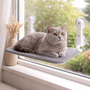 Hamac pour chat avec ventouse murale