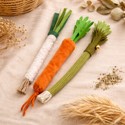 Jouet à mâcher en légume