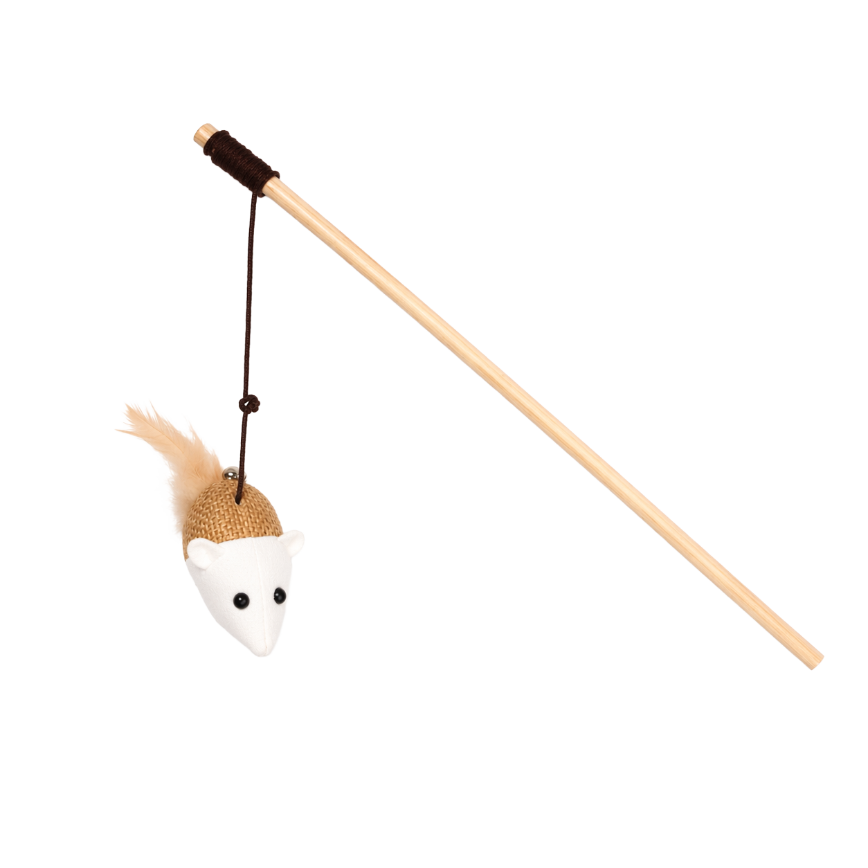 Canne en bois avec plume