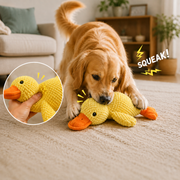 Canard en Peluche