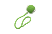 Vert