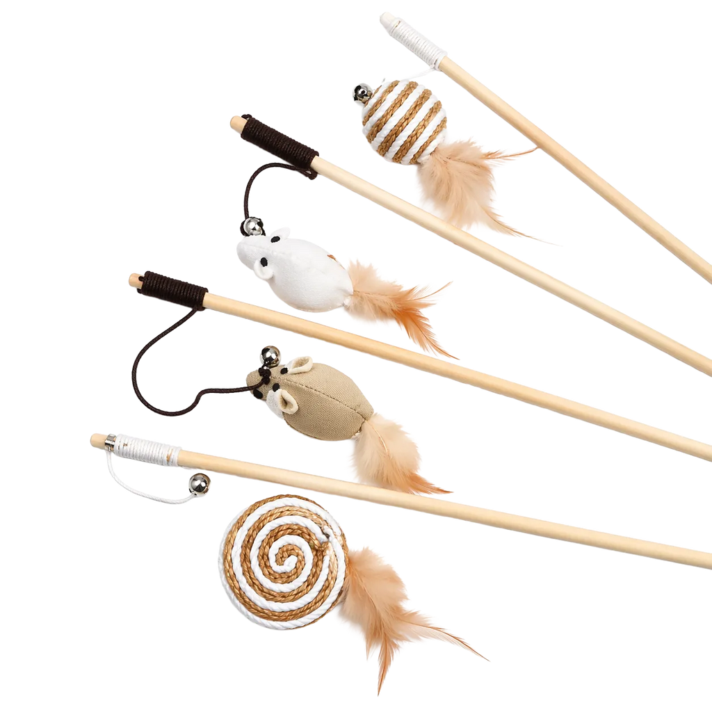 Canne en bois avec plume