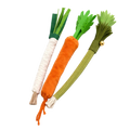 Jouet à mâcher en légume