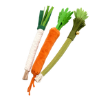 Jouet à mâcher en légume
