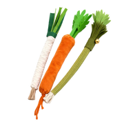 Jouet à mâcher en légume